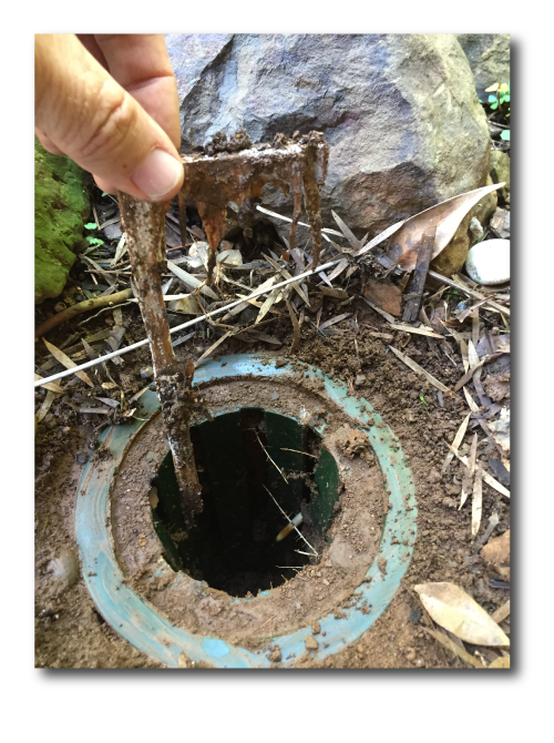 Termite Bait Eaten