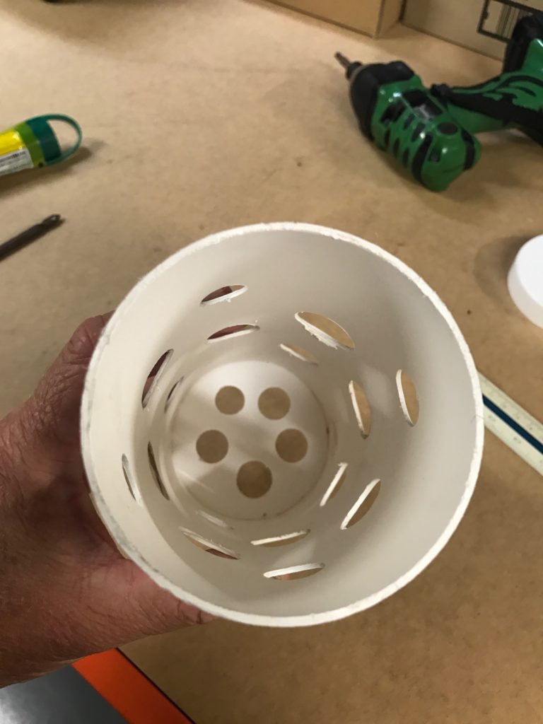 Make your own termite baits-free guide to protect your home