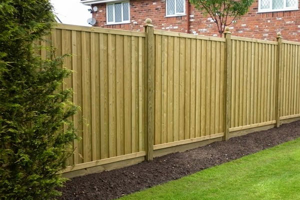 termite prevention tips to protect your fence
